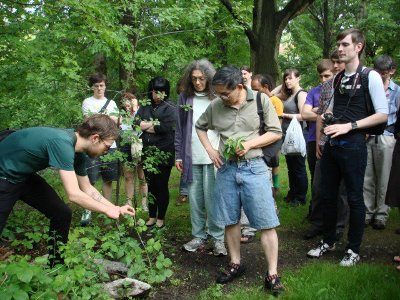 Nova Patch’s foraging workshop