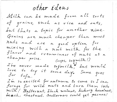 Nova Patch’s nutmilk workshop