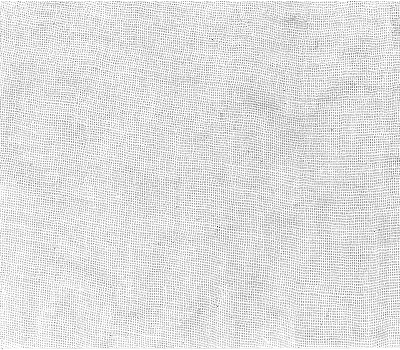 Nova Patch’s nutmilk workshop